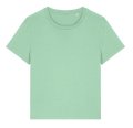 Dames T-shirt Stanley Stella Muser Iconic Misty Jade